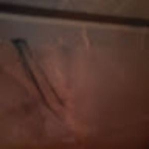 Meet your Posher, Paulla